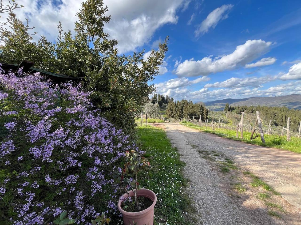 Pensjonat Il Cascino Greve in Chianti Zewnętrze zdjęcie