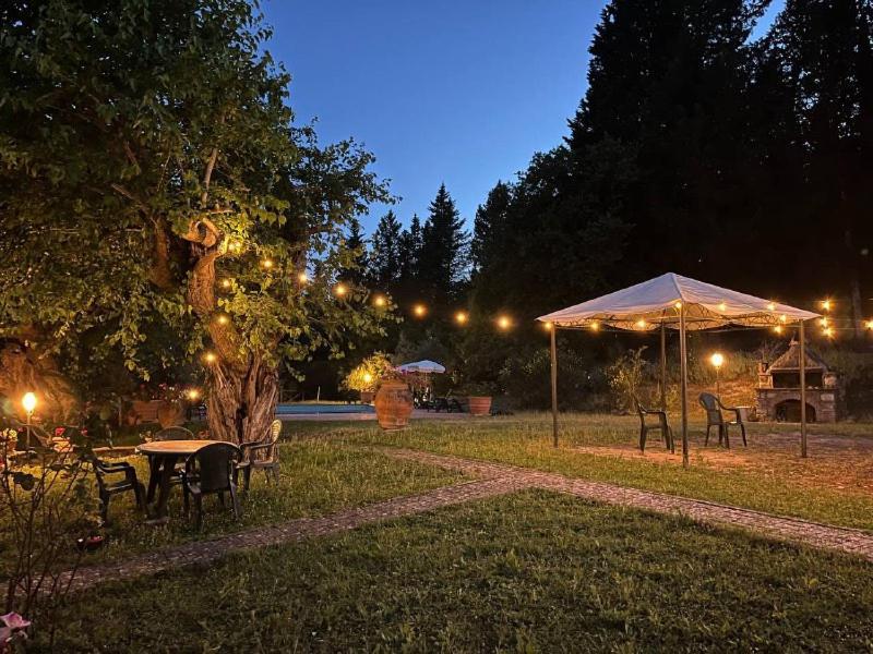 Pensjonat Il Cascino Greve in Chianti Zewnętrze zdjęcie