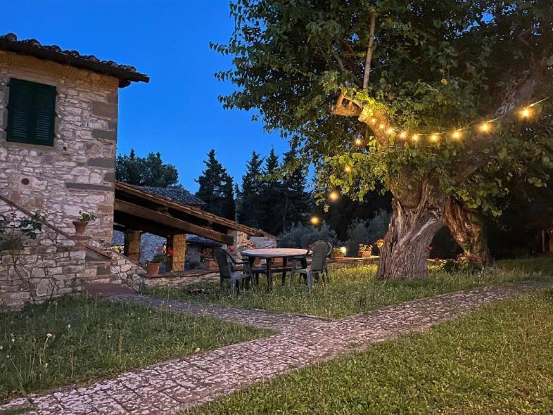 Pensjonat Il Cascino Greve in Chianti Zewnętrze zdjęcie
