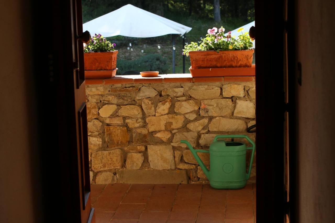 Pensjonat Il Cascino Greve in Chianti Zewnętrze zdjęcie
